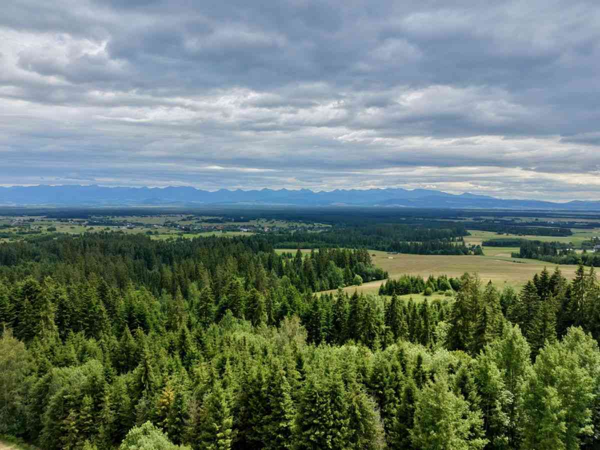 Widok na Tatry/ MPZP/Budowlana/Nasłoneczniona/Las - zdjęcie 12
