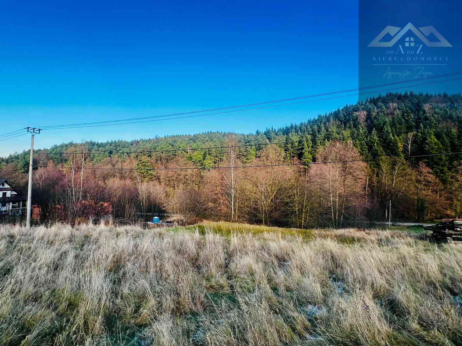 Atrakcyjna działka budowlana pod Myślenicami - zdjęcie 3