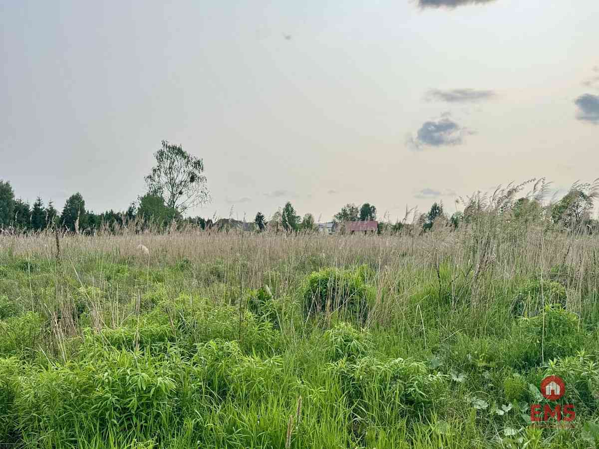 Działka w Nowodworcach