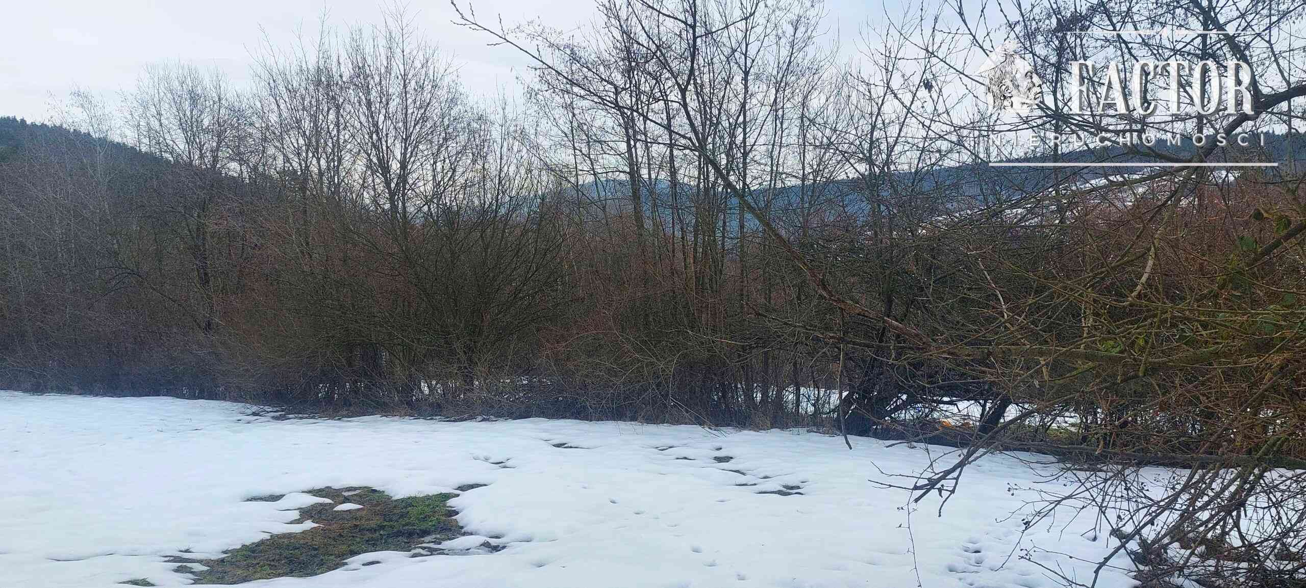 Działka budowlana w otulinie drzew, 57 arów, Siary, gm. Sękowa - zdjęcie 3