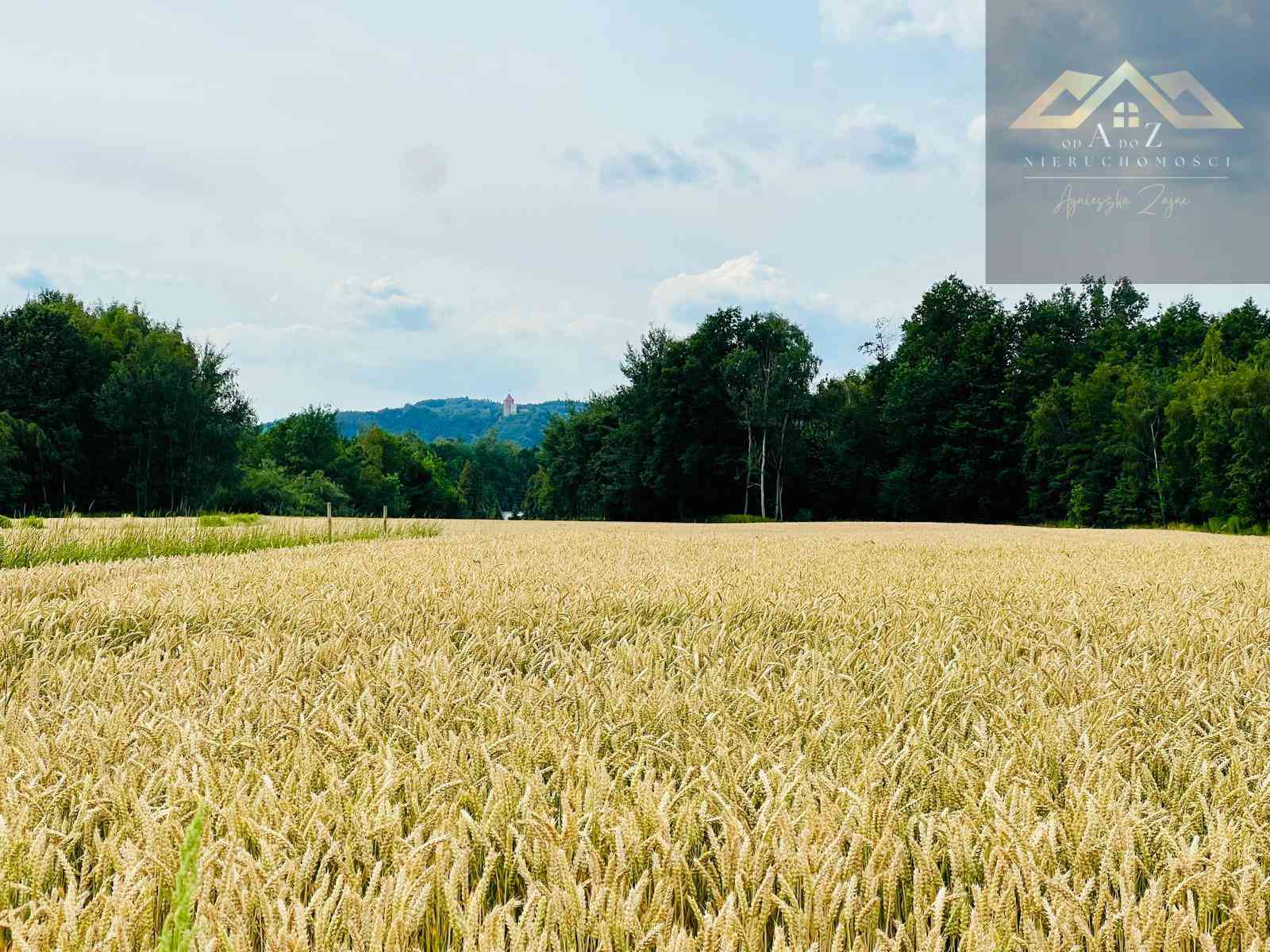 Działka budowlana z widokiem na Zamek w Melsztynie - zdjęcie 3