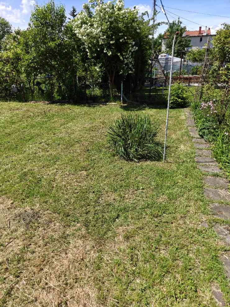 Sprzedam bezczynszowe mieszkanie - zdjęcie 14