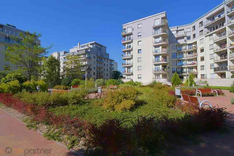 Dwa pokoje z dużym balkonem, klima ul. Przyjaźni - zdjęcie 12