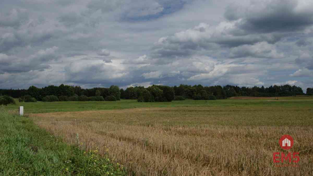 Działka w otulinie Puszczy Knyszyńskiej z WZ - zdjęcie 4