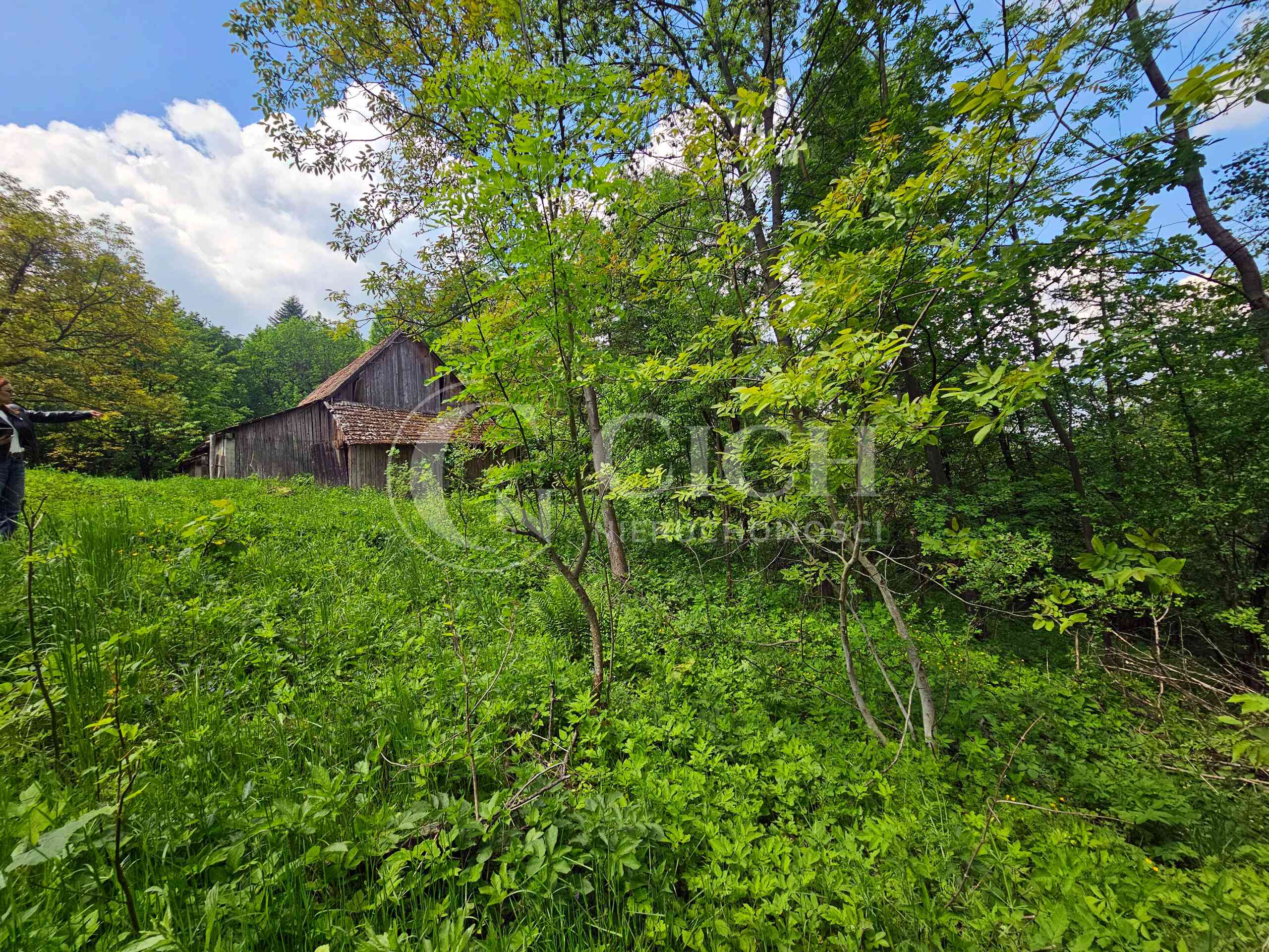 Działka budowlano-leśna 0,8445 ha | Łękawka gm. Tarnów - zdjęcie 11