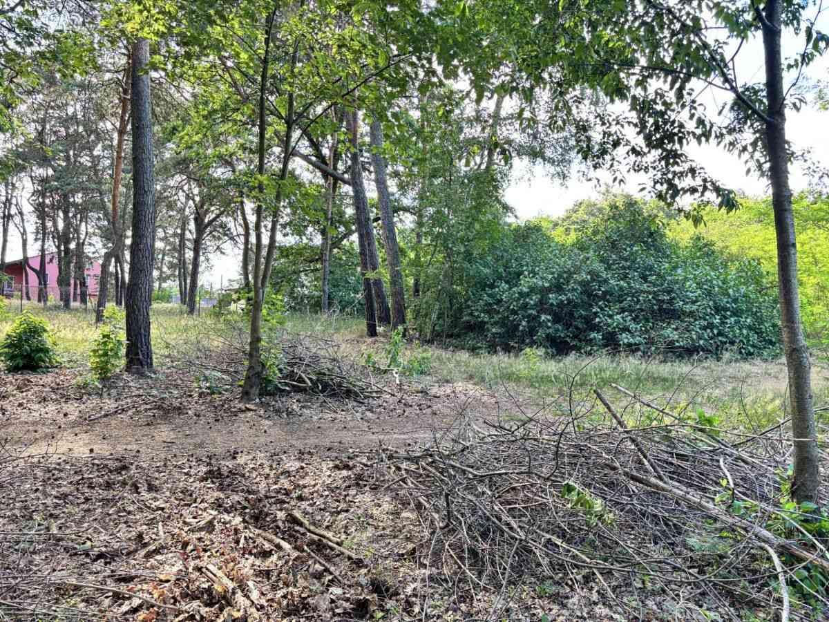 Żary 20min | Zielona Góra 30min | Media | MPZP | - zdjęcie 10