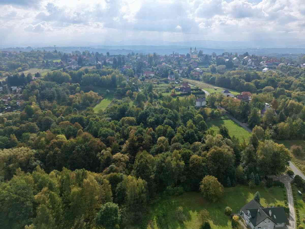 | Własny Las | Prąd | Woda | Gaz | Kanalizacja | - zdjęcie 13