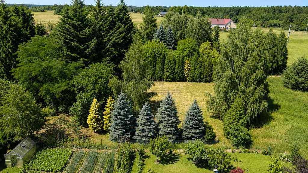 Urocza działka w Kinicach- MPZP - zdjęcie 2