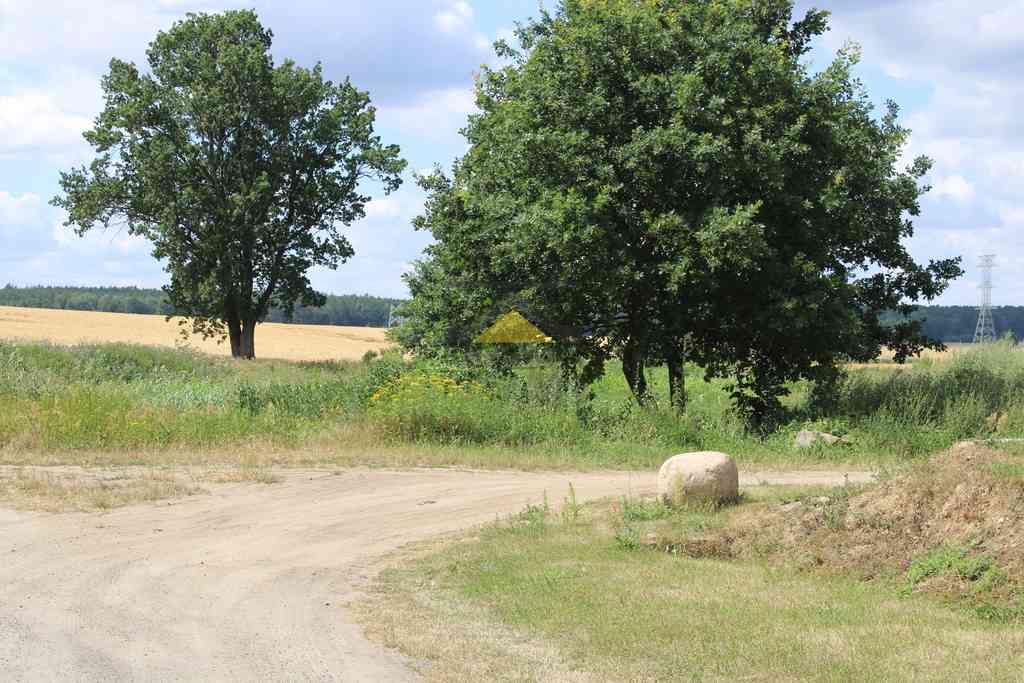 Działka 35 arów, wydane WZ, Racław - zdjęcie 9