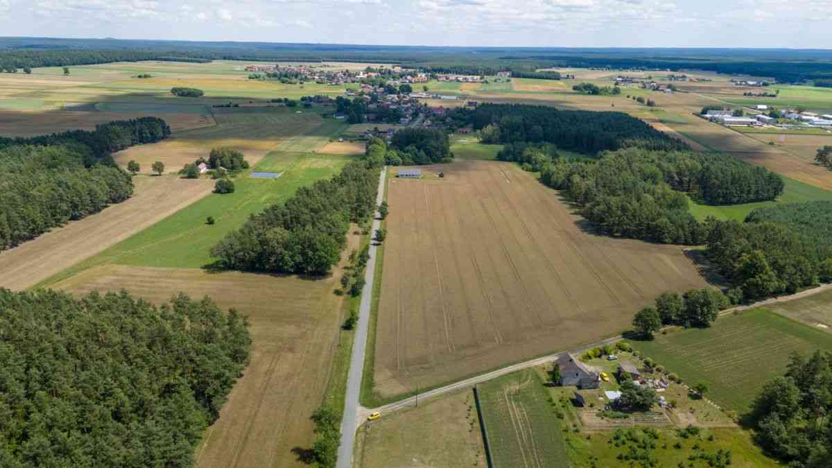 Działka Zborowskie gaz kanalizacja woda blisko las - zdjęcie 10