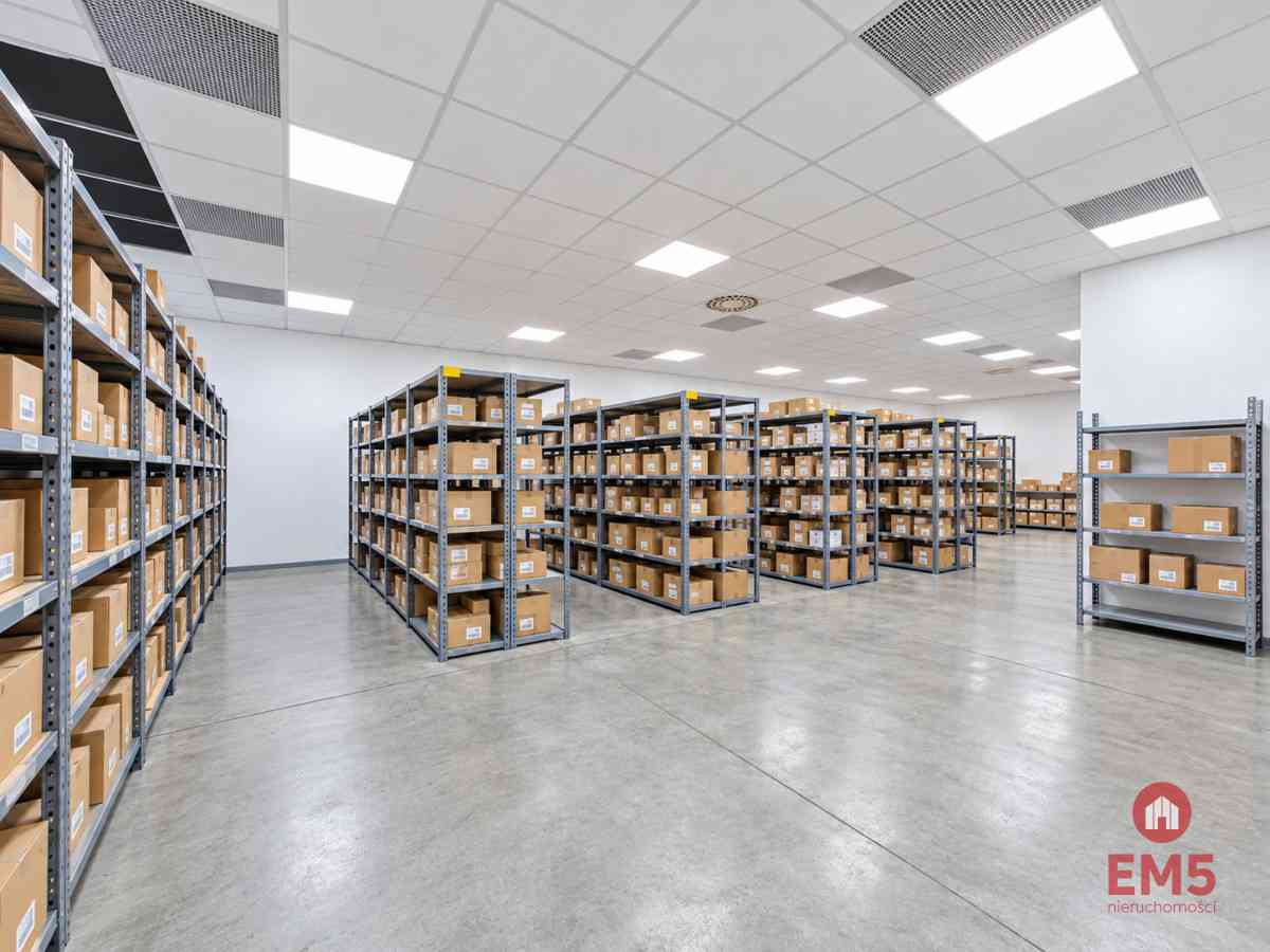 Lokal użytkowy 262 m2 - zdjęcie 1