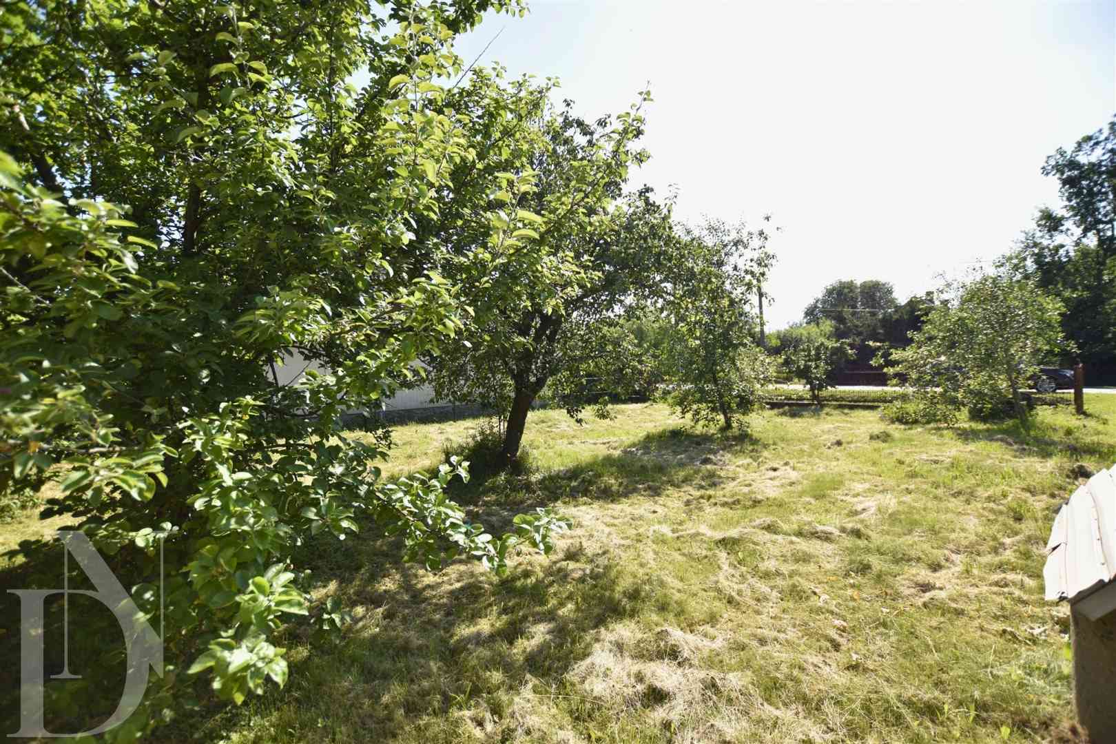 Siedlisko z dużą działką 5986 m² Czyże - zdjęcie 7