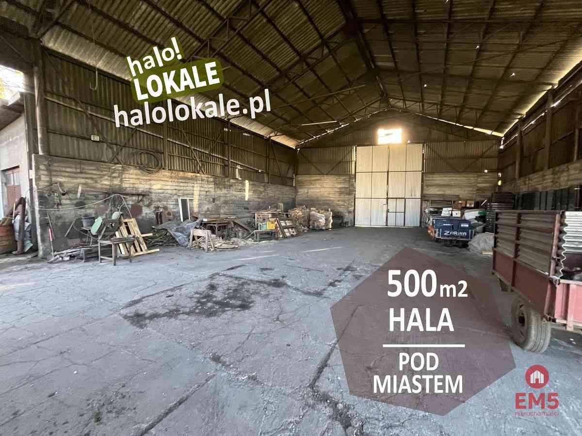 Hala pod miastem