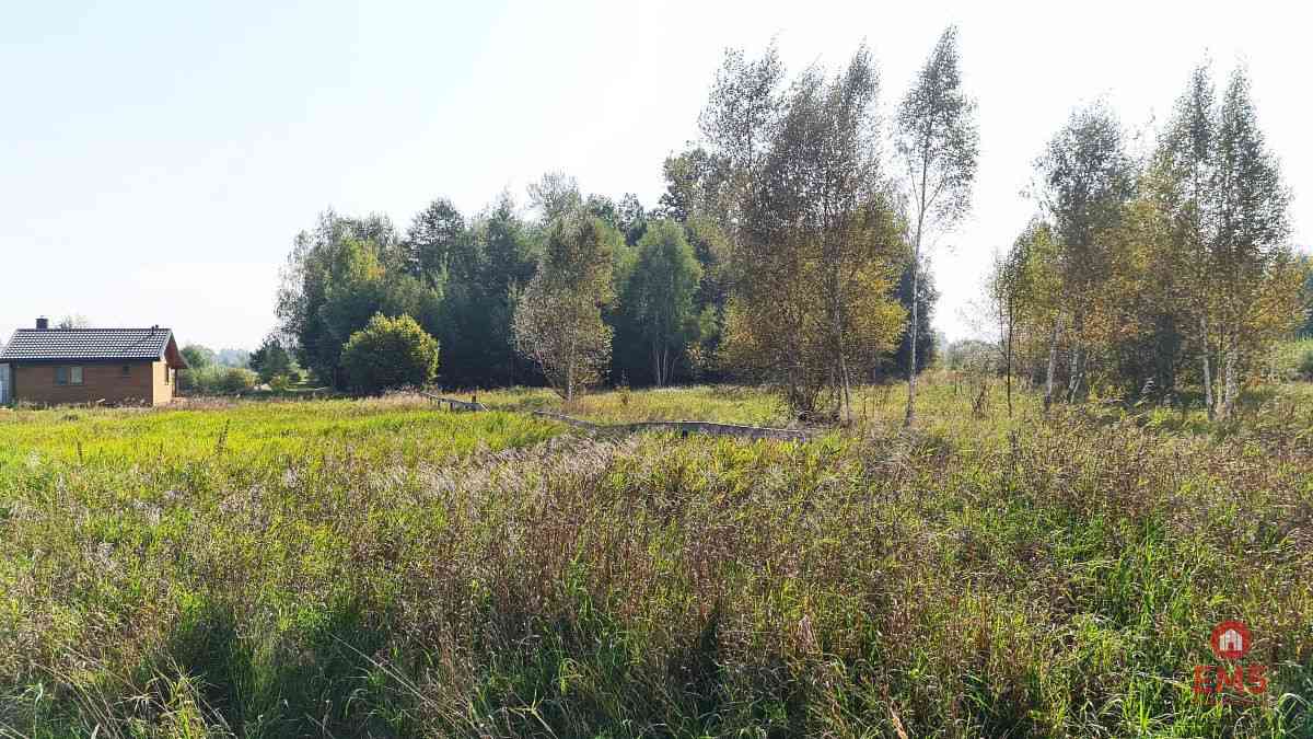 Ciasne. Działka budowlana 5100 m2. - zdjęcie 4