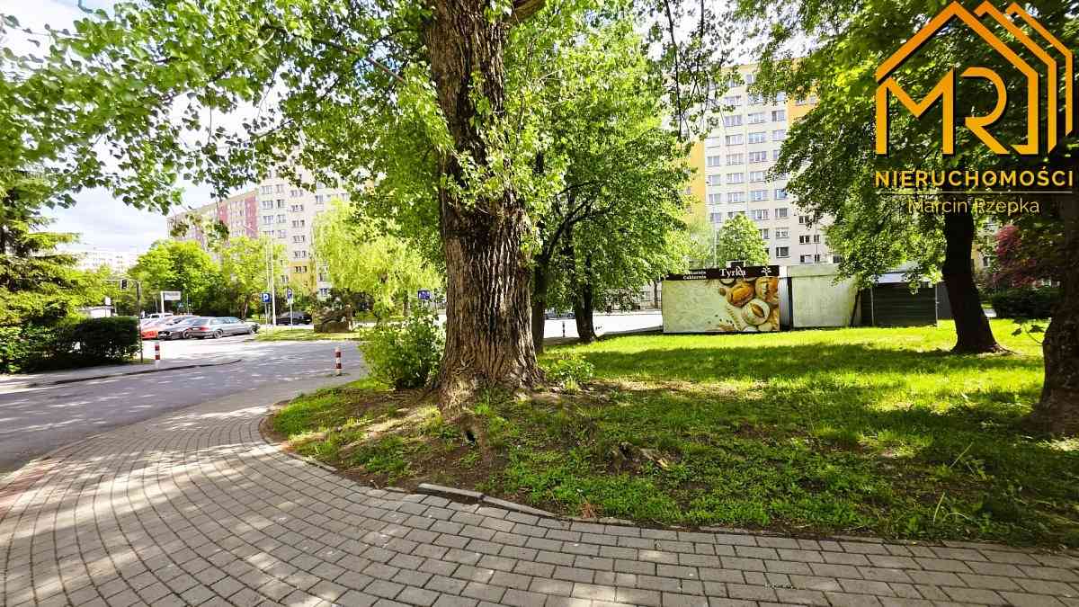 Mieszkanie na parterze  – po kapitalnym remoncie - zdjęcie 15