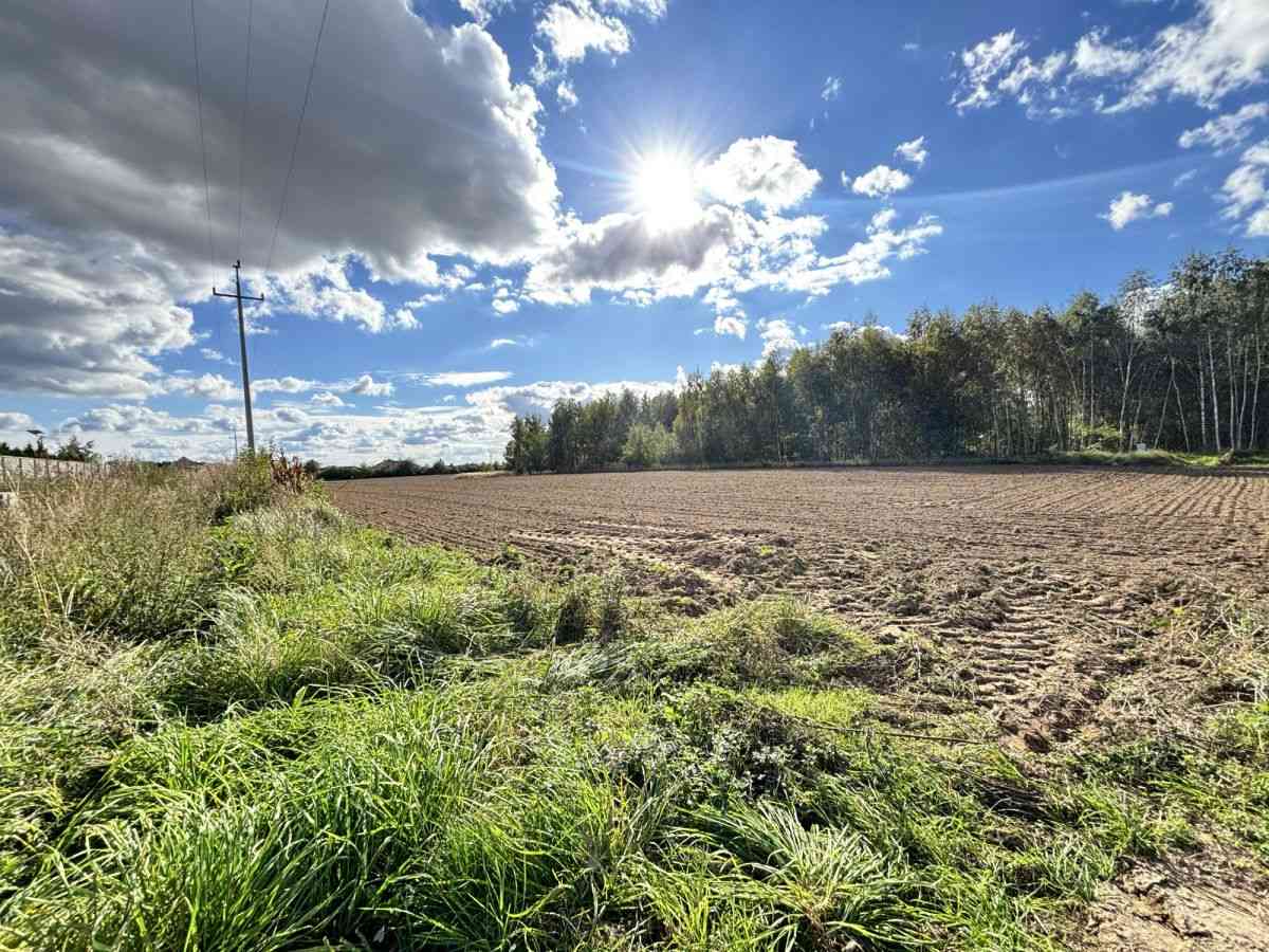 Woda | Prąd | Bezterminowe WZ | | 8 km od Leszna | - zdjęcie 15