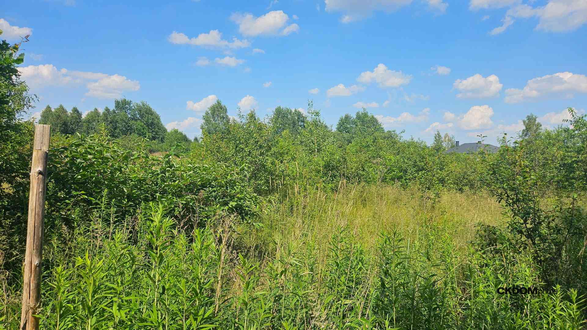 Atrakcyjna działka Wola Kopcowa - zdjęcie 4