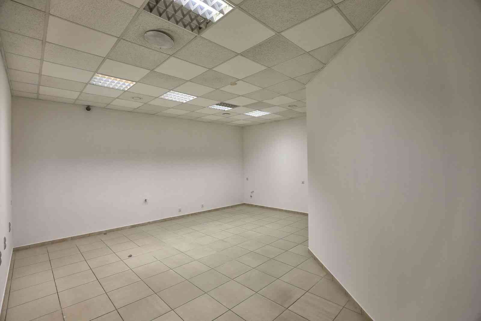 Komercyjne Mierzyn, Dobra Szczecińska, Policki 55 m²