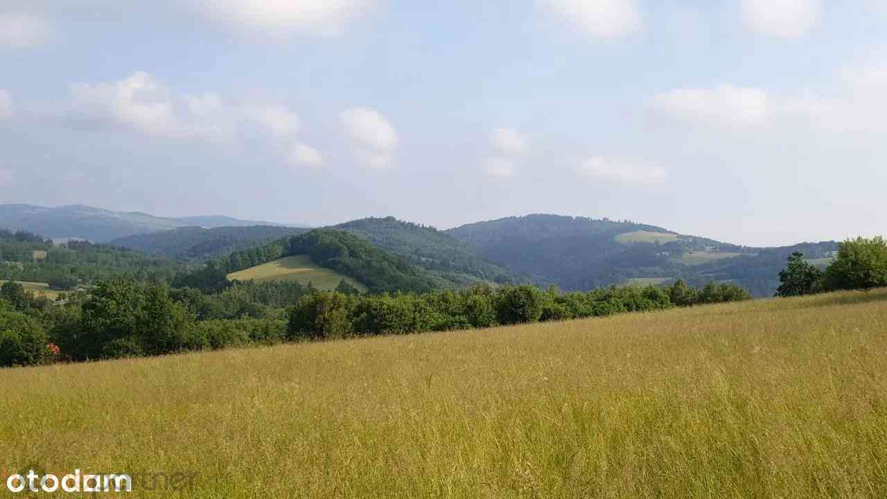 Działka w Górach Sowich - zdjęcie 12