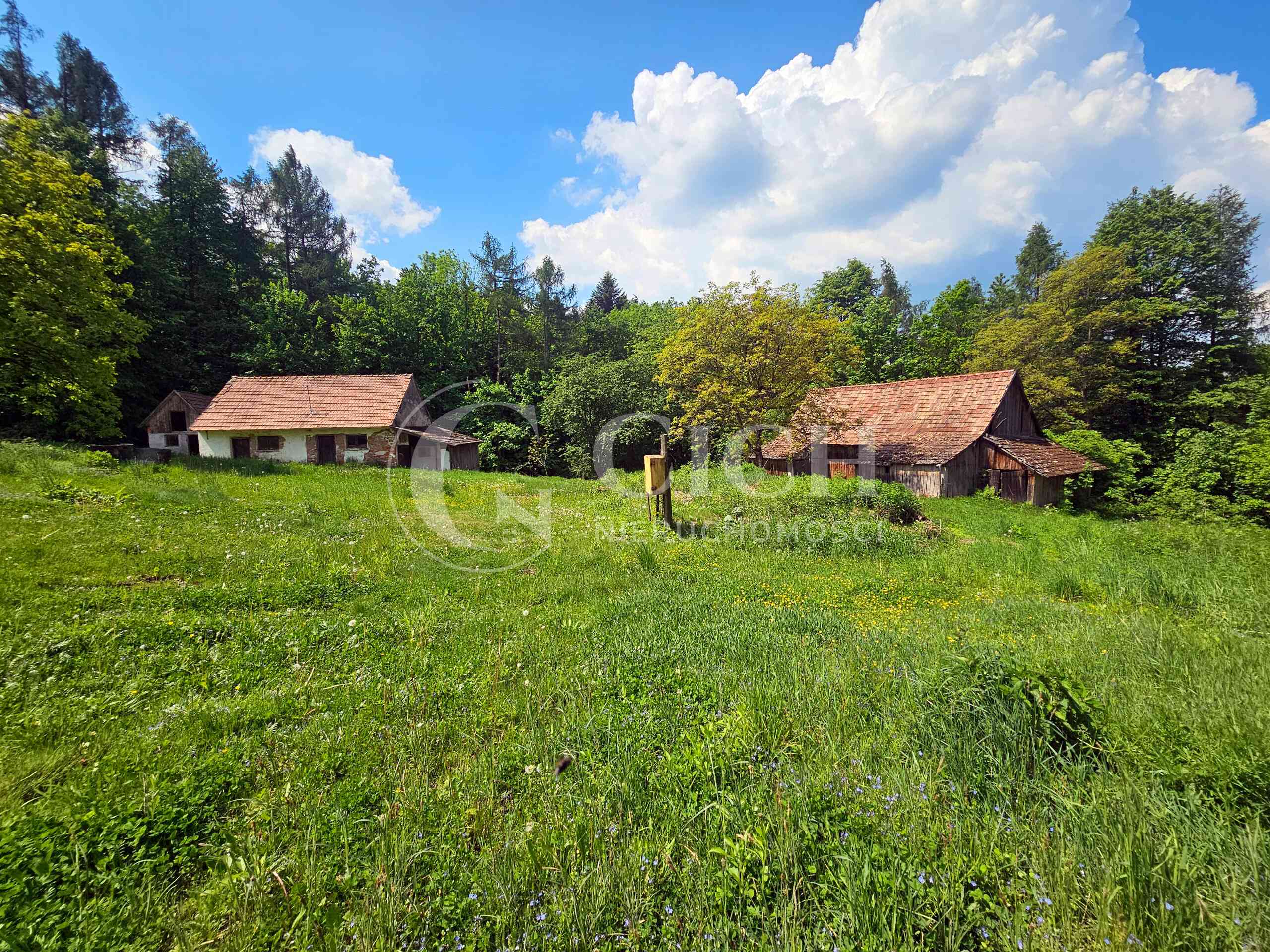 Działka budowlano-leśna 0,8445 ha | Łękawka gm. Tarnów - zdjęcie 4