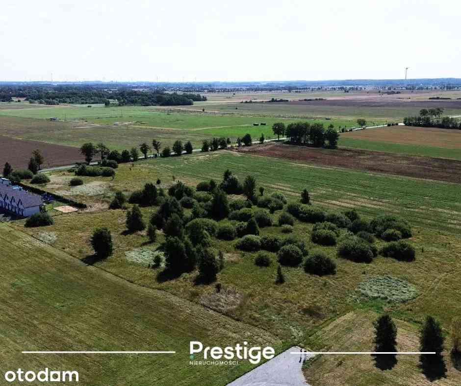 Działka Jezierzany 3225 m² — 3 km od morza, MN/U - zdjęcie 5
