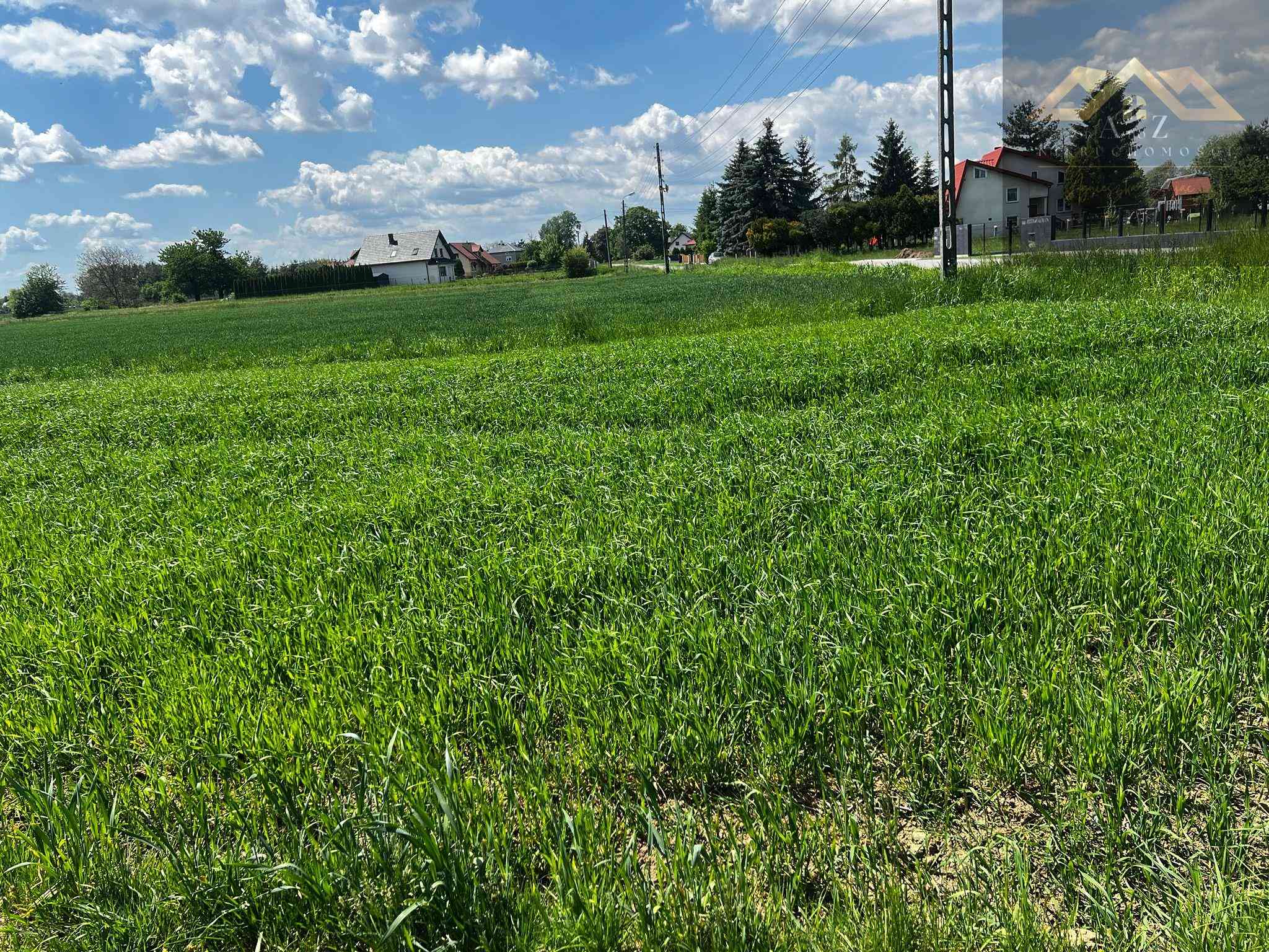 Duża działka blisko Tarnowa, gm. Wierzchosławice - zdjęcie 6