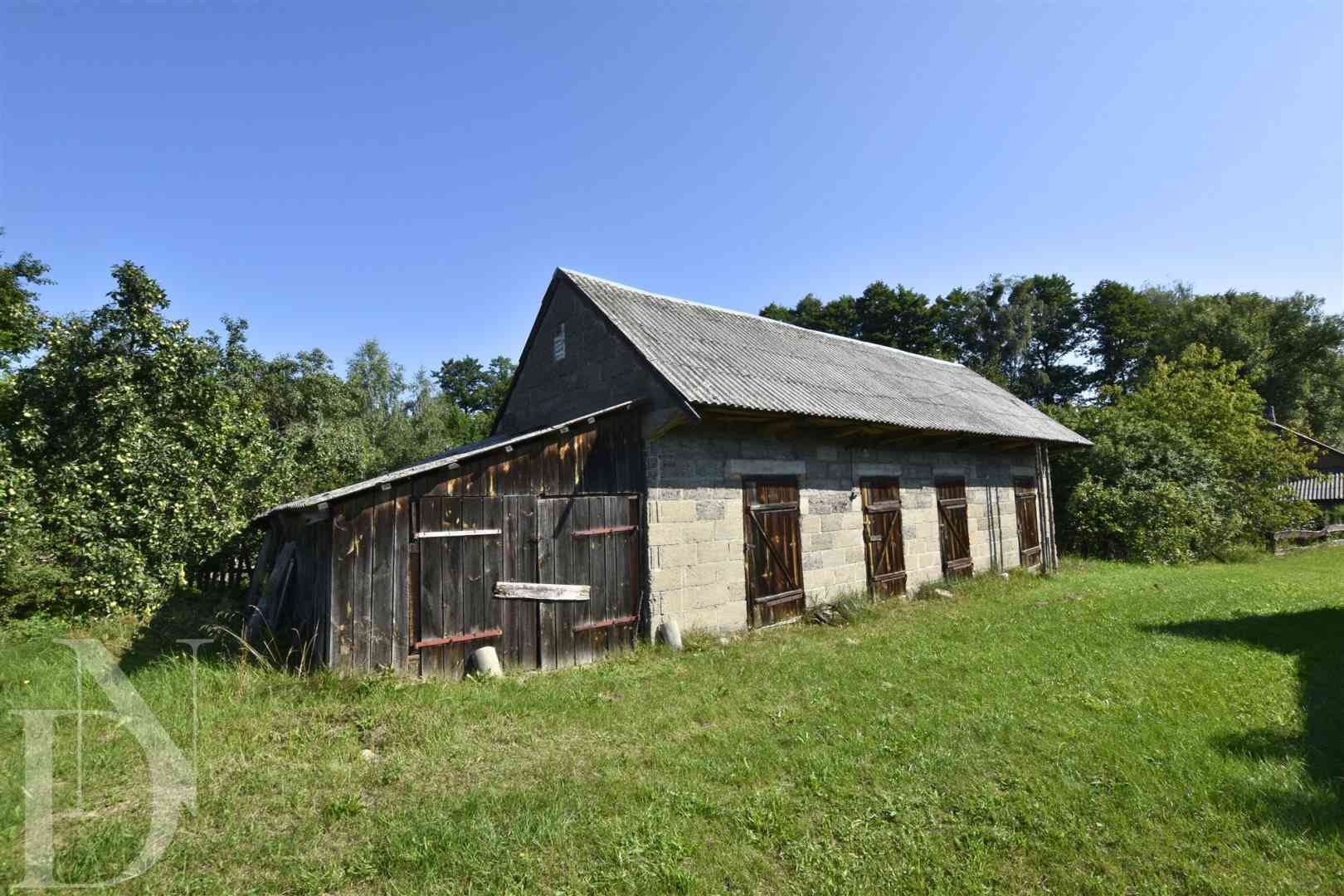Dom 70 m² + 3205 m² działki w pobliżu rzeki Nurzec - zdjęcie 15