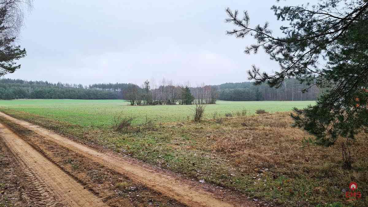 Działka 1743 m2, Pieńki - zdjęcie 4