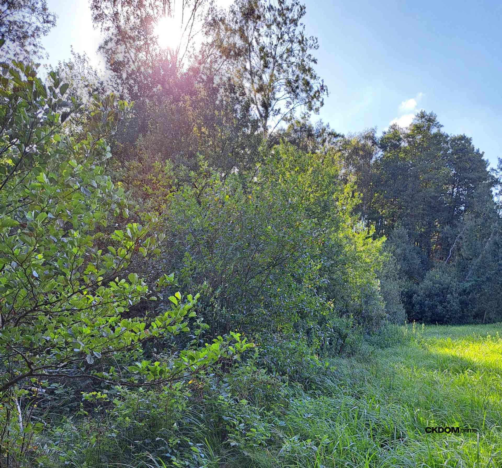 Atrakcyjna działka budowlana  - zdjęcie 8