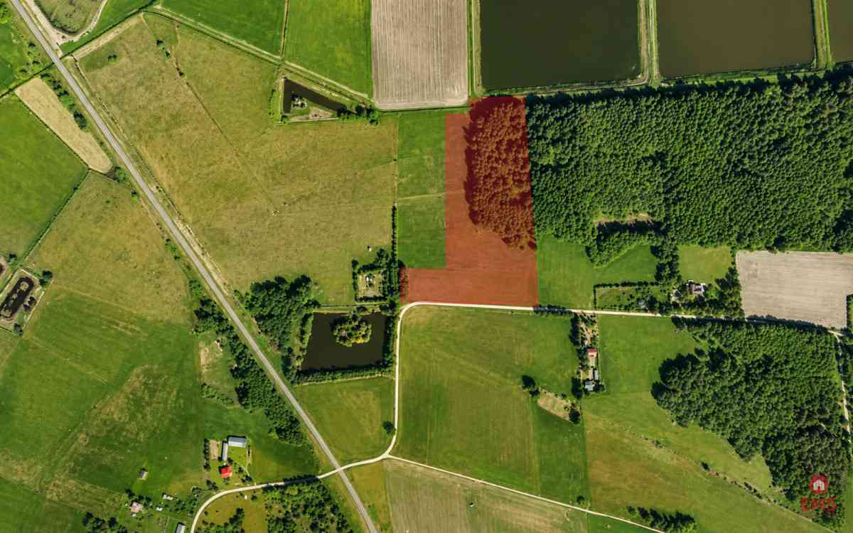 Działka rolno-budowlana 2,5 ha. Nowosiółki - zdjęcie 3