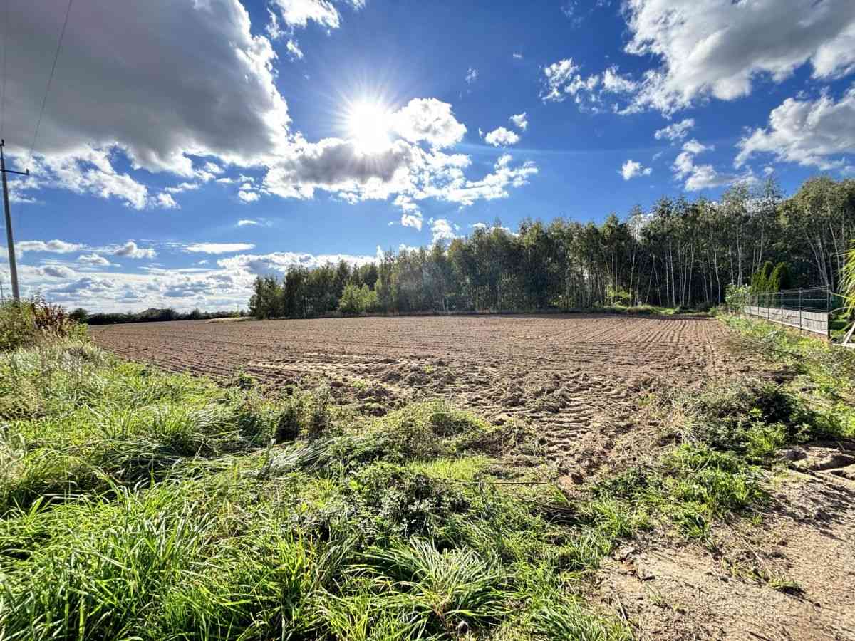 Woda | Prąd | Bezterminowe WZ | | 8 km od Leszna | - zdjęcie 12