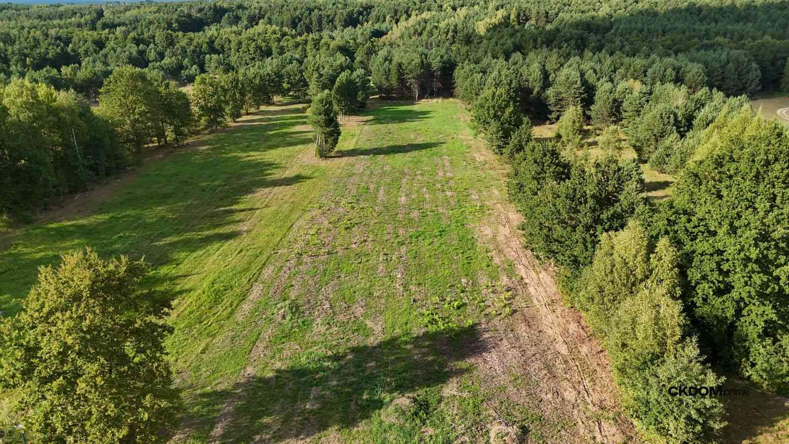 Działka na sprzedaż 910 m2 Gałęzice gm. Piekoszów - zdjęcie 10