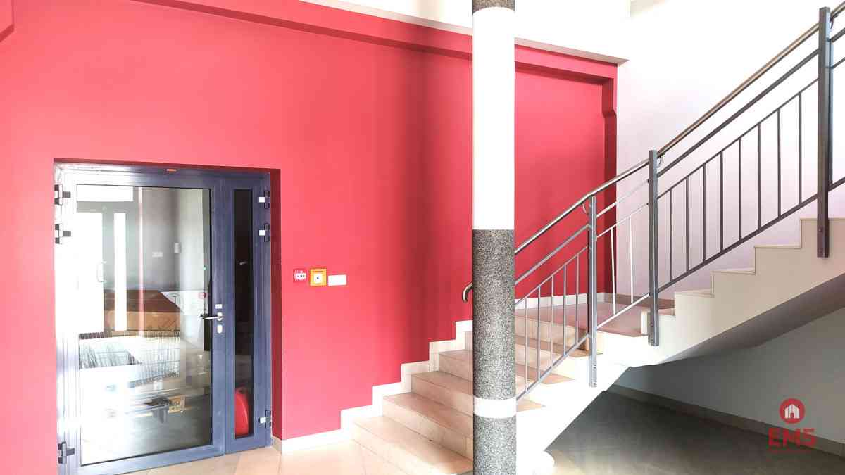 Lokal użytkowy 400 m2 - zdjęcie 2