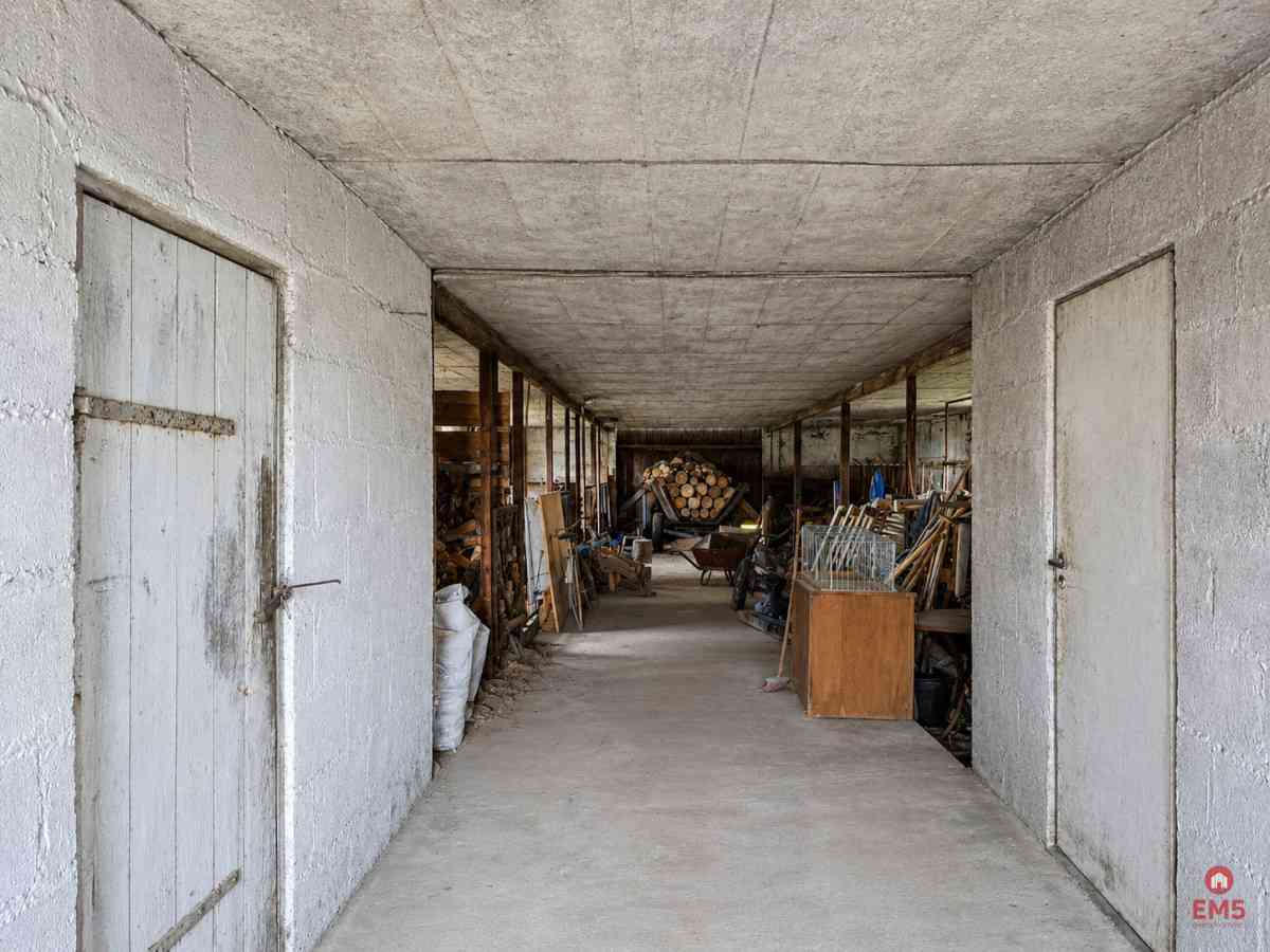 Siedlisko 0,6 ha, gm. Brańsk - zdjęcie 18