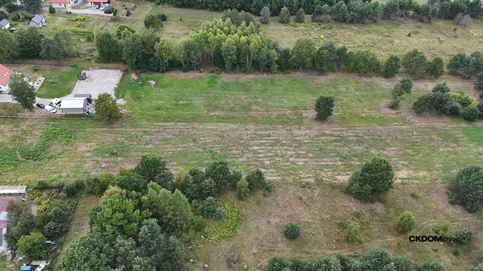 Działka na sprzedaż 910 m2 Gałęzice gm. Piekoszów - zdjęcie 6