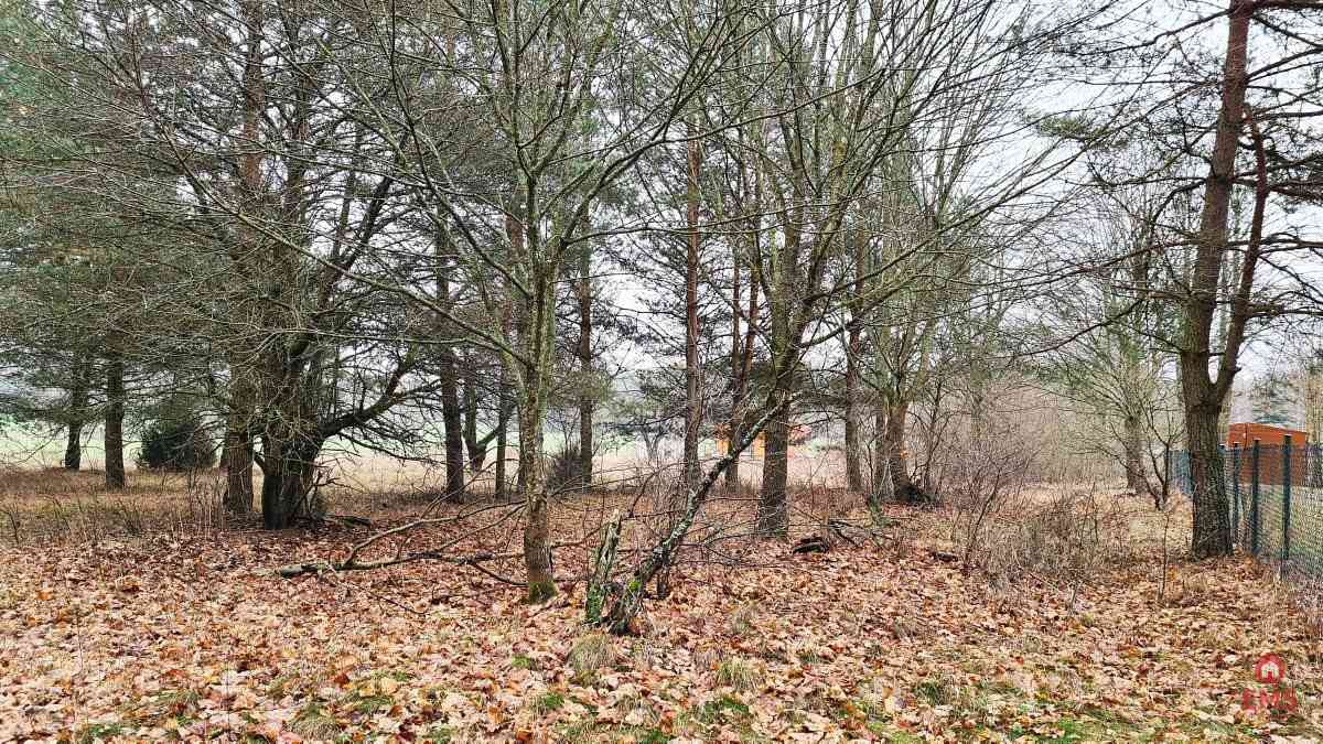 Działka 1900 m2. Pieńki - zdjęcie 10