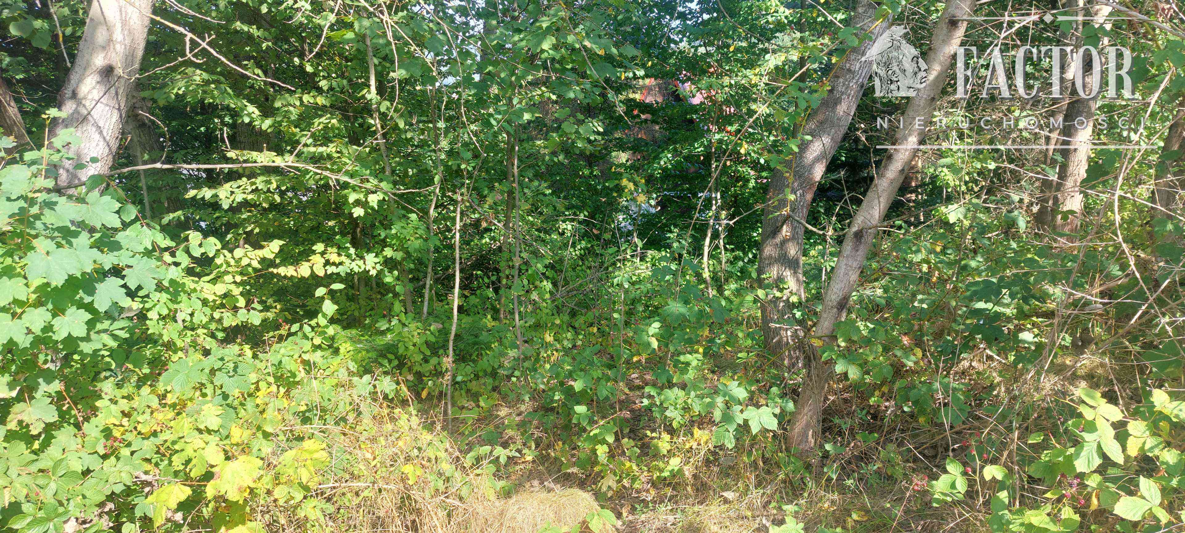 Łosie działka budowlana 9,93 a 1135S - zdjęcie 2