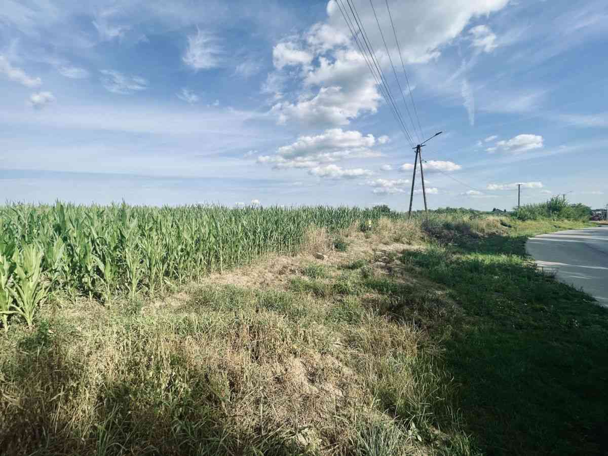 MPZP | Prąd, woda, gaz | Prostokątne, płaskie | - zdjęcie 11