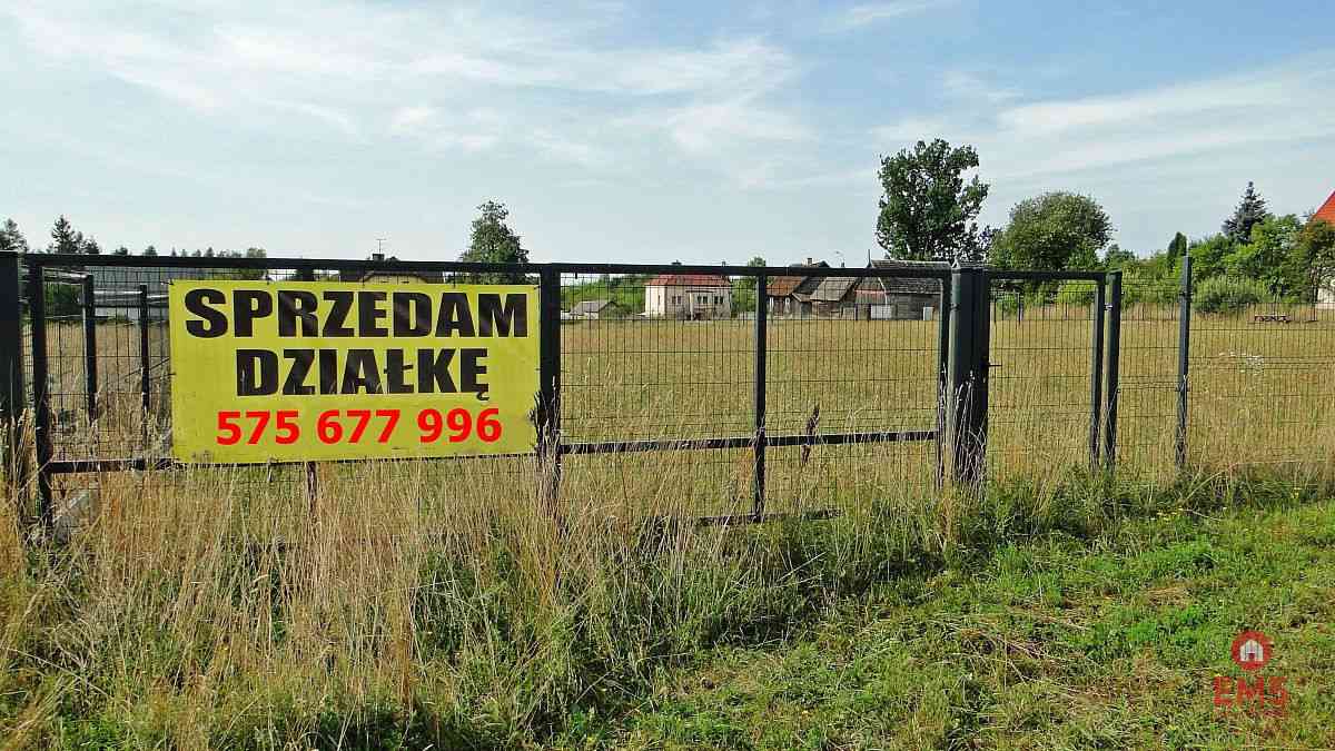 Działka rolno-budowlana 4000 m2, Letniki - zdjęcie 2