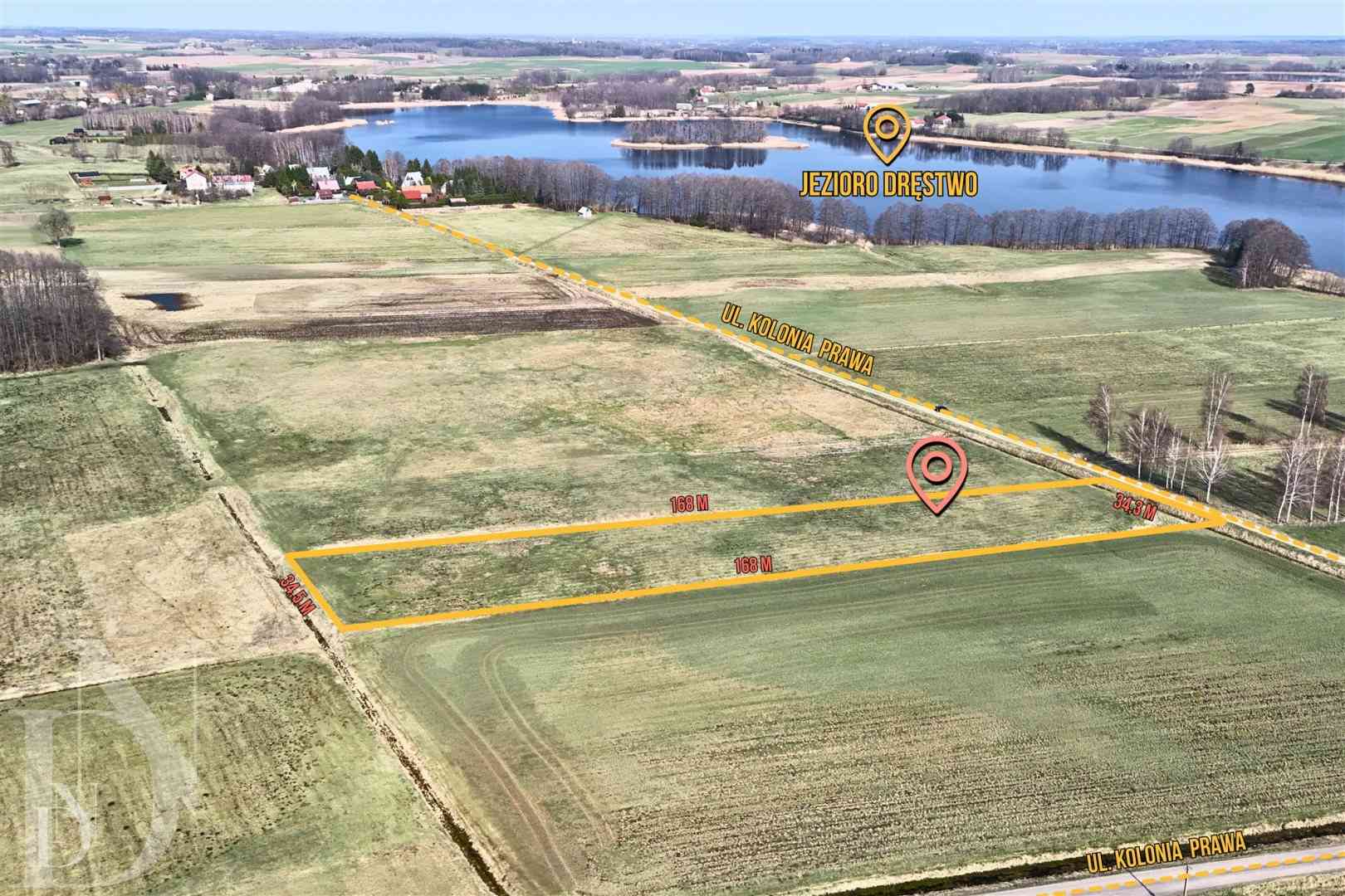 Działki 11095 m² koło Jeziora Dręstwo NOWA CENA!!! - zdjęcie 4