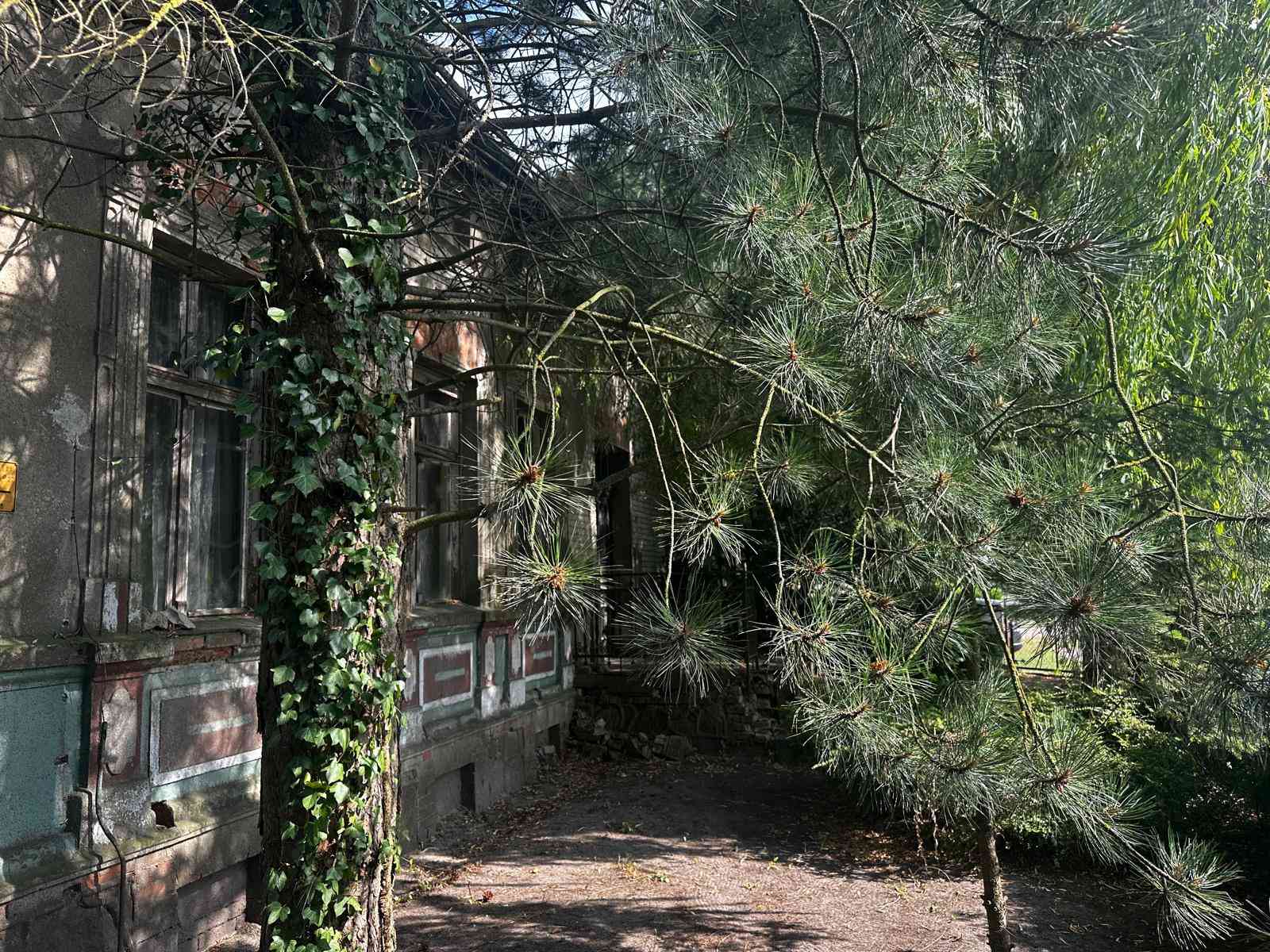 Stary dom – wyjątkowa nieruchomość w Bielkowie - zdjęcie 17