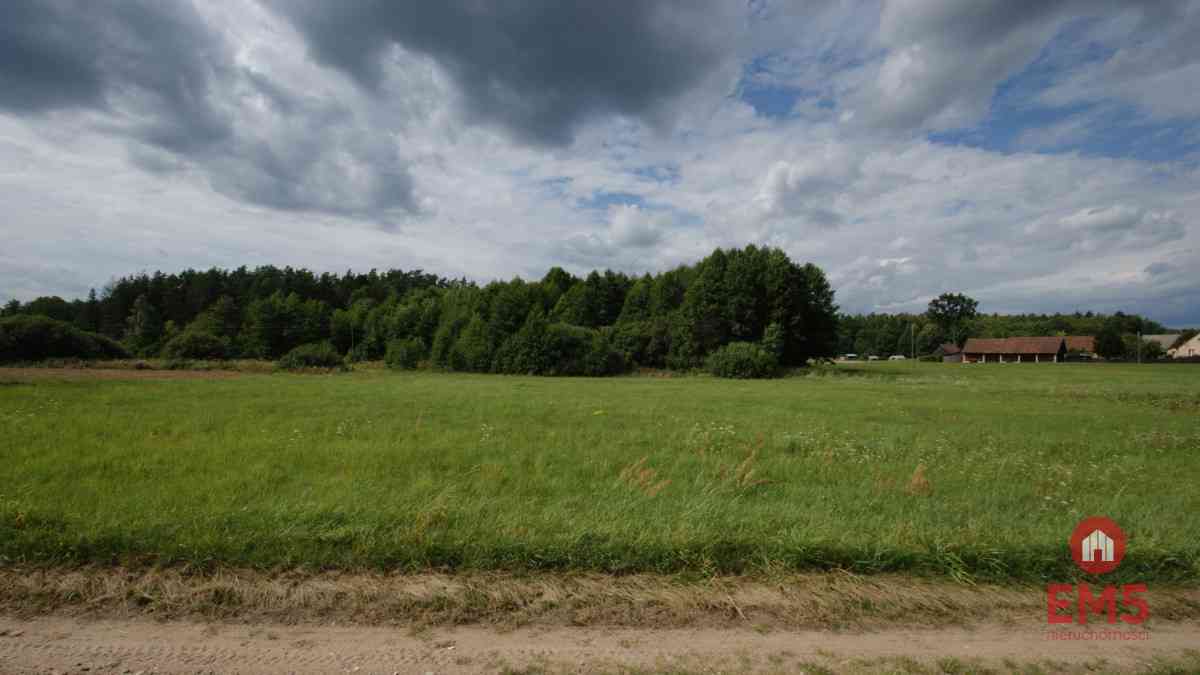 Działka w otulinie Puszczy Knyszyńskiej z WZ - zdjęcie 5