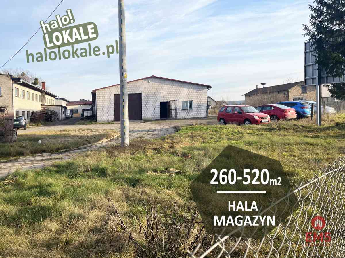 Budynek do wynajęcia  260-520 m2.