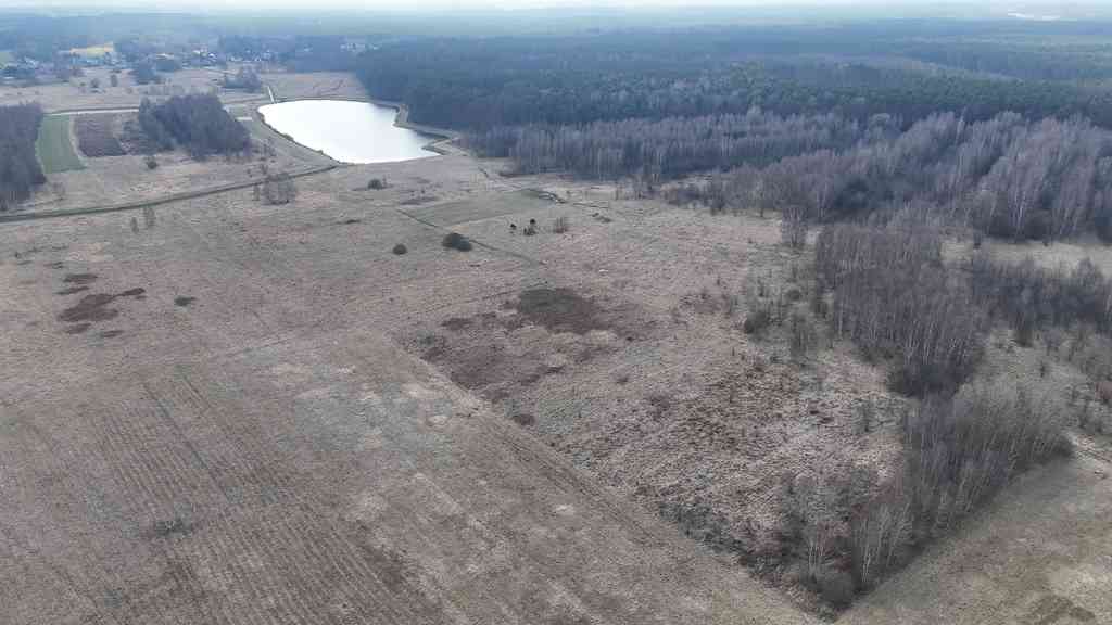 Radomsko, Czyżykowa | Działka na sprzedaż - zdjęcie 3