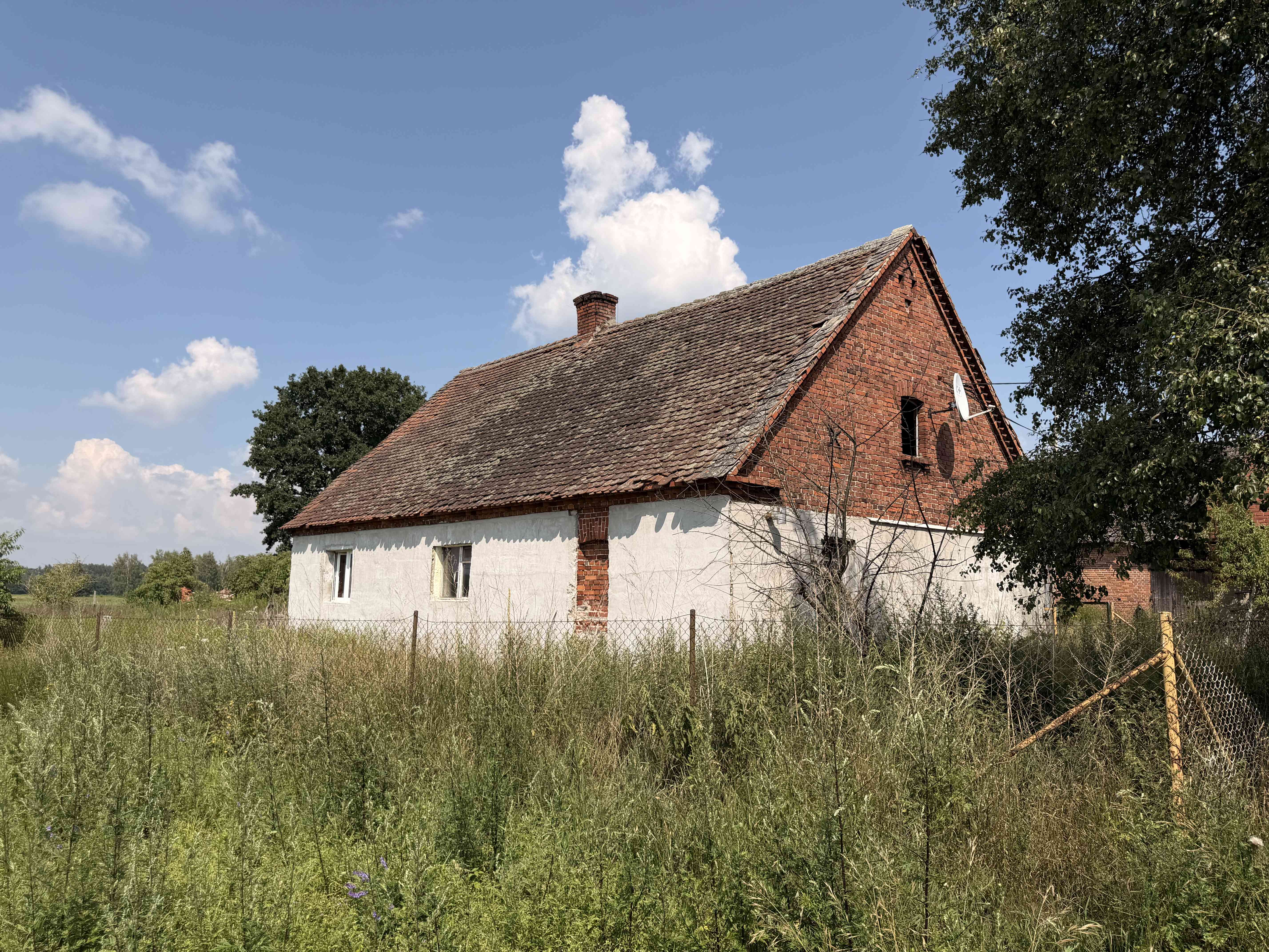 Siedlisko 5,17 ha z ceglaną stodołą | Pawłów, gm. Sośnie - zdjęcie 4