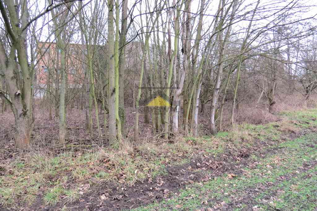 Działa GORZOWIE, 2512 m2, Wieprzyce! - zdjęcie 5