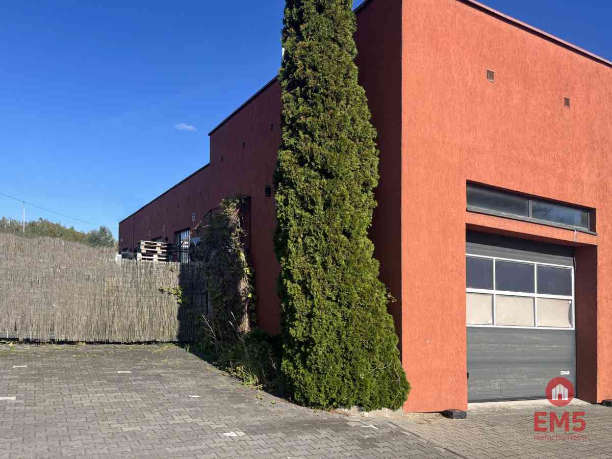 Budynek 800 m2  handel-usługi-produkcja - zdjęcie 13