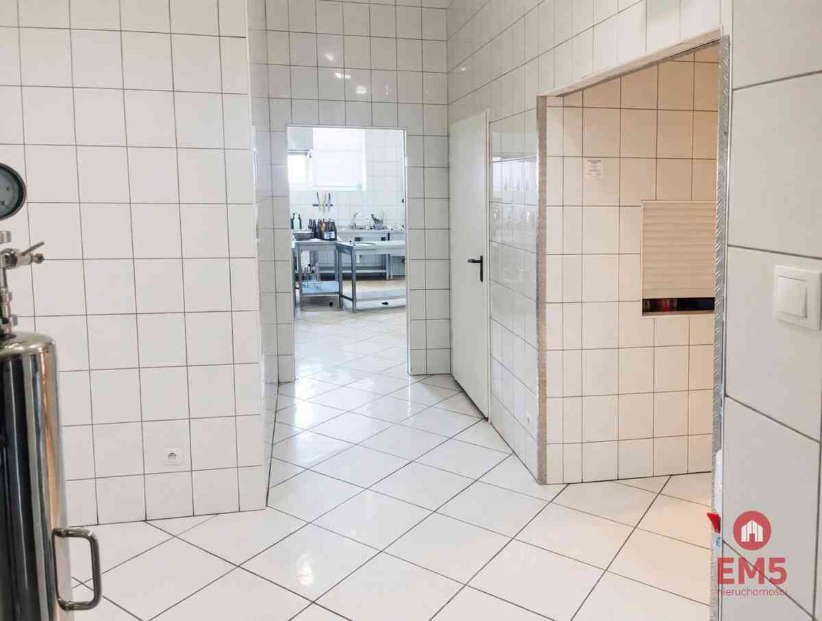 Budynek 800 m2  handel-usługi-produkcja - zdjęcie 8
