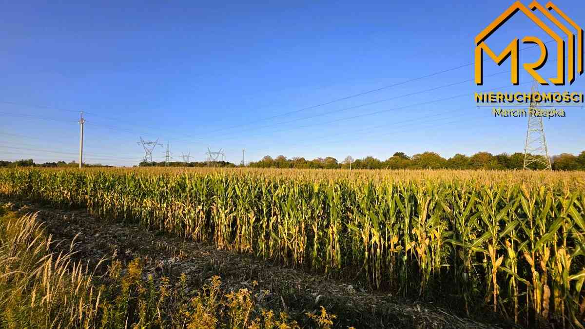 Działka rolna 0,9283 ha przy ul. Niedomickiej, Tar - zdjęcie 12