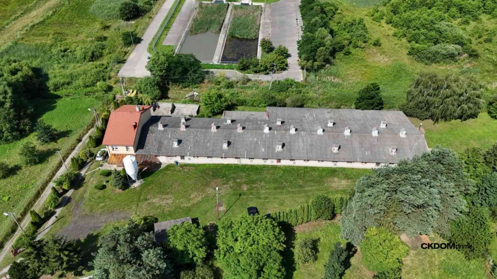 Nieruchomość z potencjałem pod inwestycję - zdjęcie 2